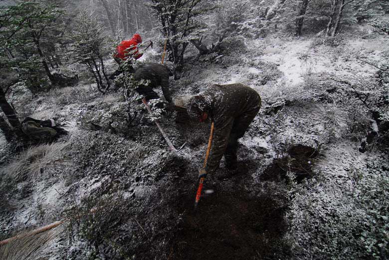 Trail work