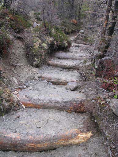 Wood steps